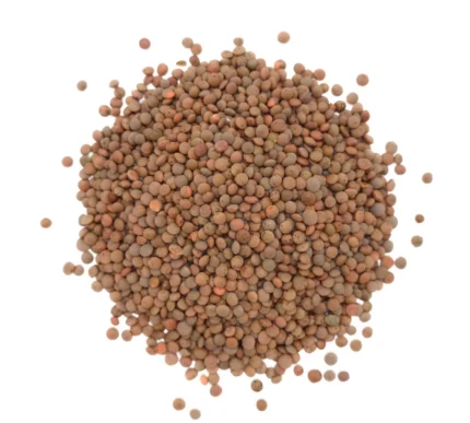 Bio braune Linsen (Berglinsen) Nahaufnahme Produktbild