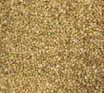 Bio Buchweizen, Nahaufnahme - Produktbild lose