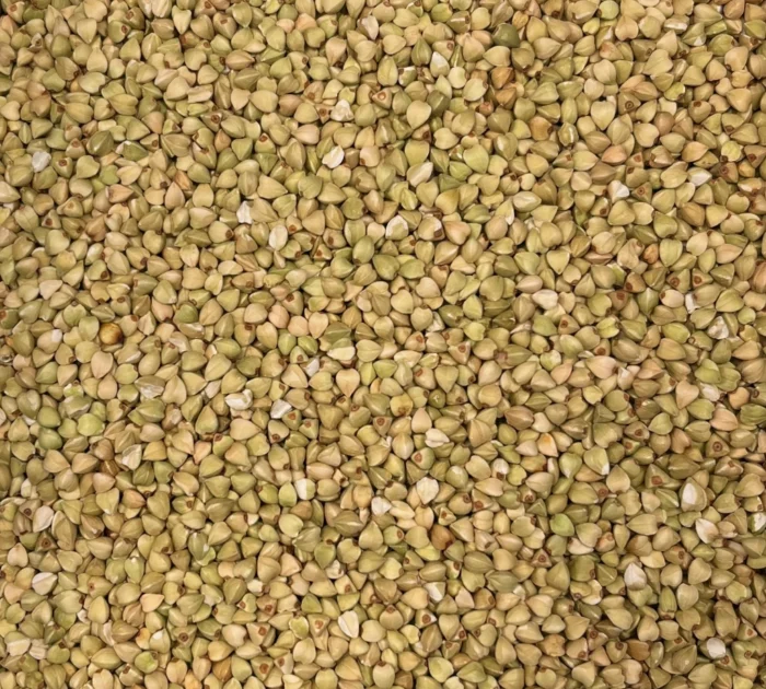 Bio Buchweizen, Nahaufnahme - Produktbild lose