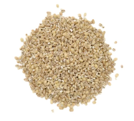 Bio Gerstengraupen Nahaufnahme Produktbild