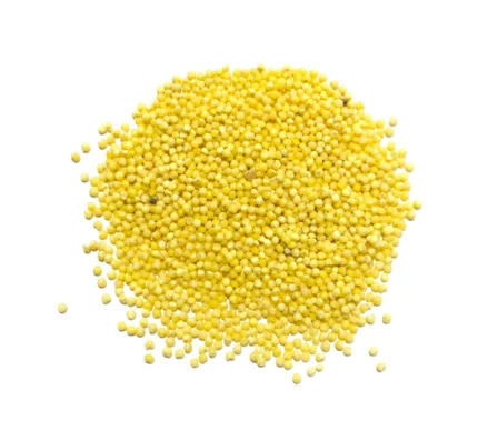 Bio Hirse, Nahaufnahme - Produktbild lose