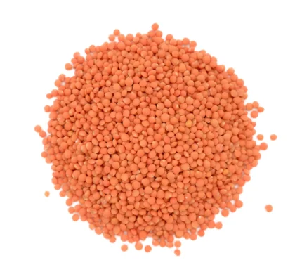 Bio rote Linsen Nahaufnahme Produktbild