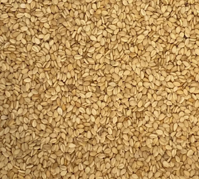 Bio Sesam ungeschält, Nahaufnahme - Produktbild lose