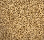 Bio Sonnenblumenkerne ungeschält, Nahaufnahme - Produktbild lose