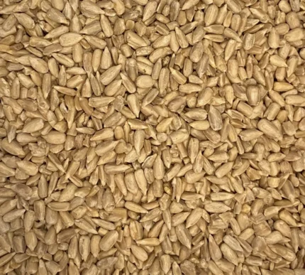 Bio Sonnenblumenkerne ungeschält, Nahaufnahme - Produktbild lose