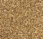 Bio Weizen, Nahaufnahme - Produktbild lose