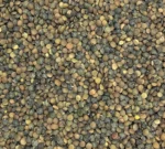 Bio Linsen Grün (Alb Leisa), Nahaufnahme - Produktbild lose