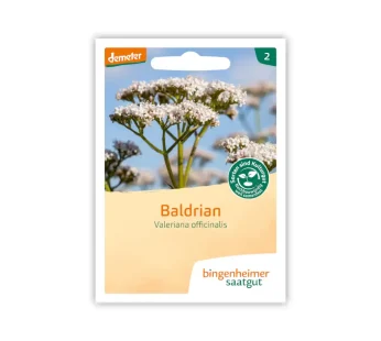 Bio Baldrian – Bingenheimer Saatgut