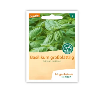 Bio Basilikum großblättrig – Bingenheimer Saatgut