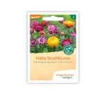 Bingenheimer Saatgut Tüte Hohe Strohblume Vorderseite
