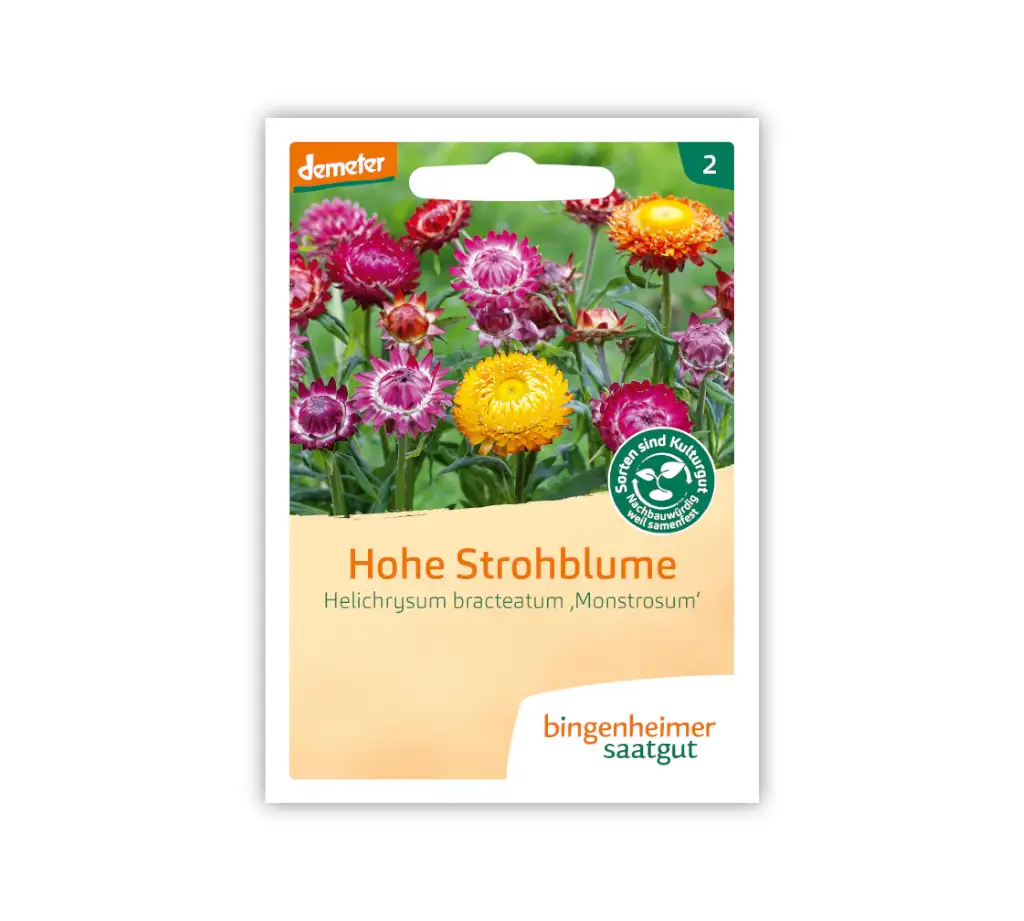 Bingenheimer Saatgut Tüte Hohe Strohblume Vorderseite