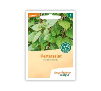 Bio Klettersalat (Malarbarspinat) – Bingenheimer Saatgut
