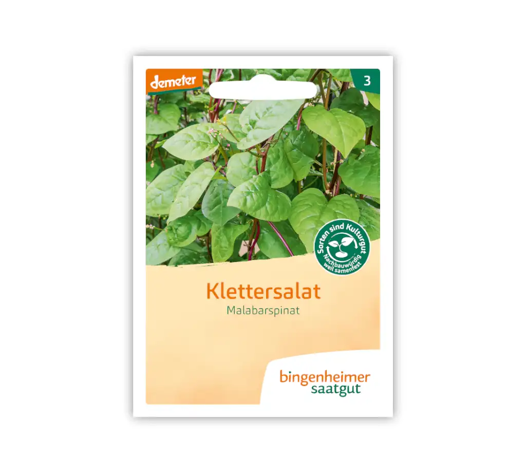 Bio Klettersalat (Malarbarspinat) – Bingenheimer Saatgut