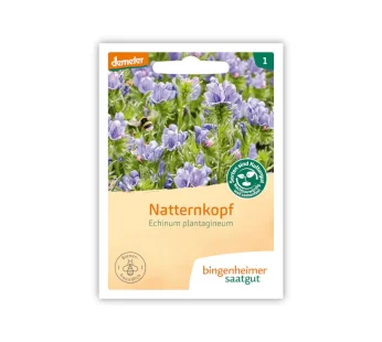 Bio Natternkopf – Bingenheimer Saatgut