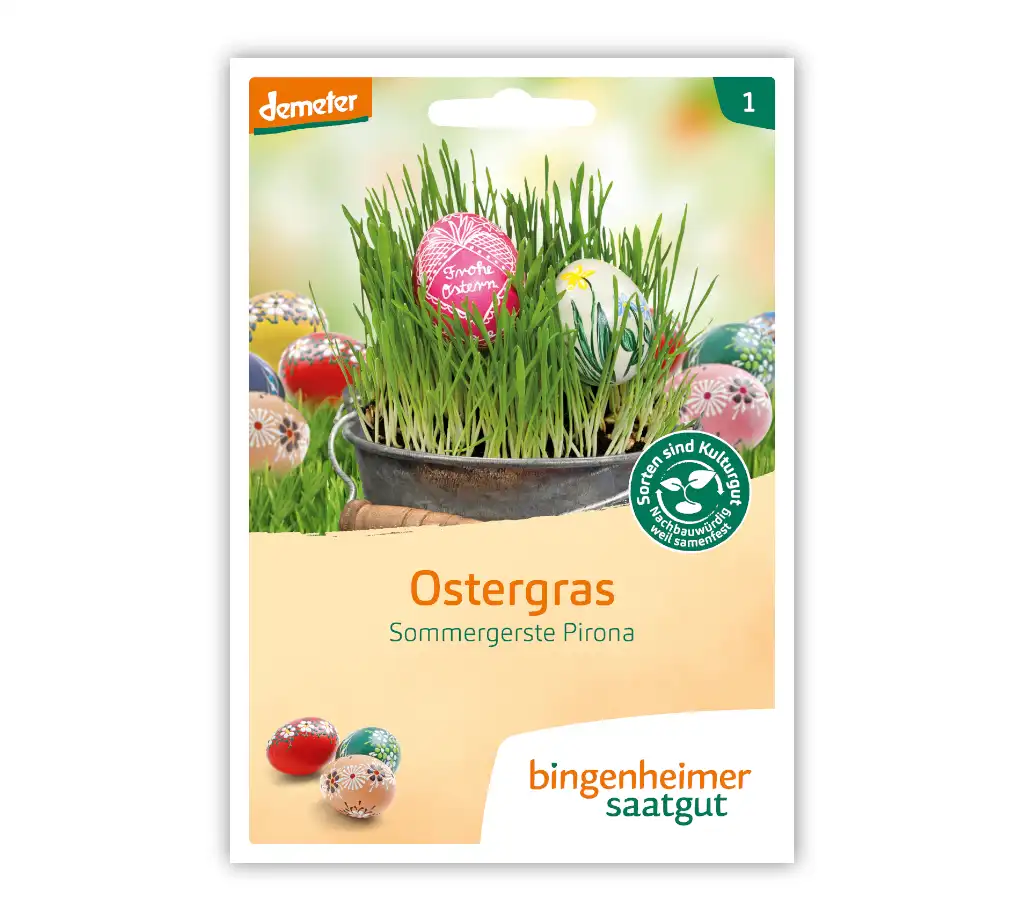 Bingenheimer Saatgut Tüte Ostergras Sommergerste Katzengras Vorderseite