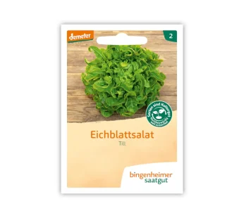 Bio Pflücksalat Till (Eichblattsalat) – Bingenheimer Saatgut
