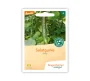 Bio Salatgurke Arola - Bingenheimer Saatgut