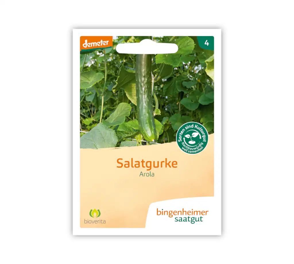 Bio Salatgurke Arola – Bingenheimer Saatgut
