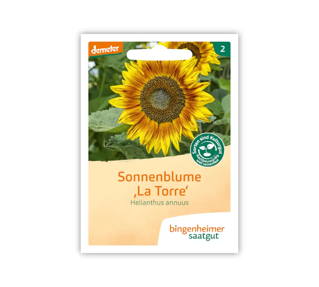 Bingenheimer Saatgut Tüte Sonnenblume La Torre Vorderseite