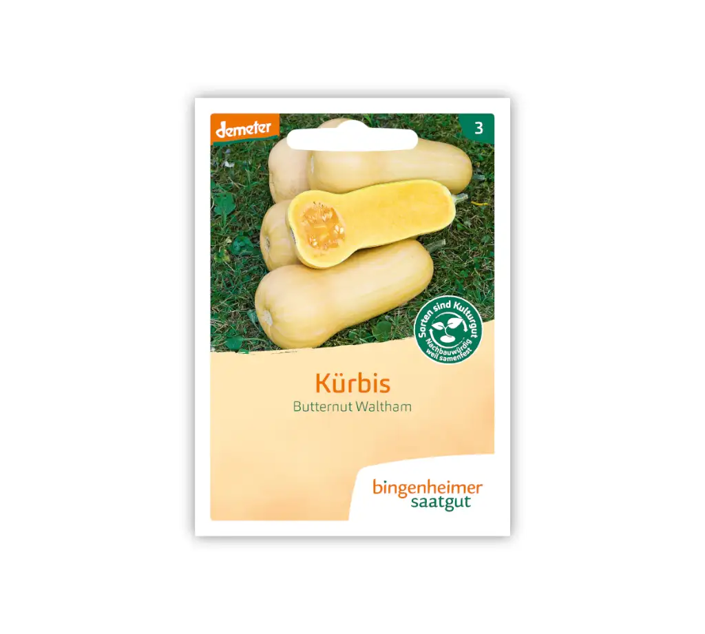 Bingenheimer Saatgut Tüte Kürbis Butternut Waltham Vorderseite