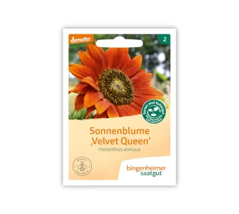 Bio Sonnenblume Velvet Queen – Bingenheimer Saatgut