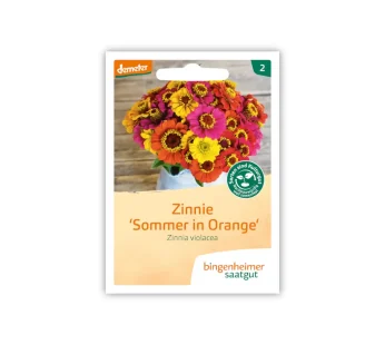 Bio Zinnie „Sommer in Orange“ – Bingenheimer Saatgut