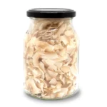 Bio Kokoschips geröstet und ungesüßt im Pfandglas